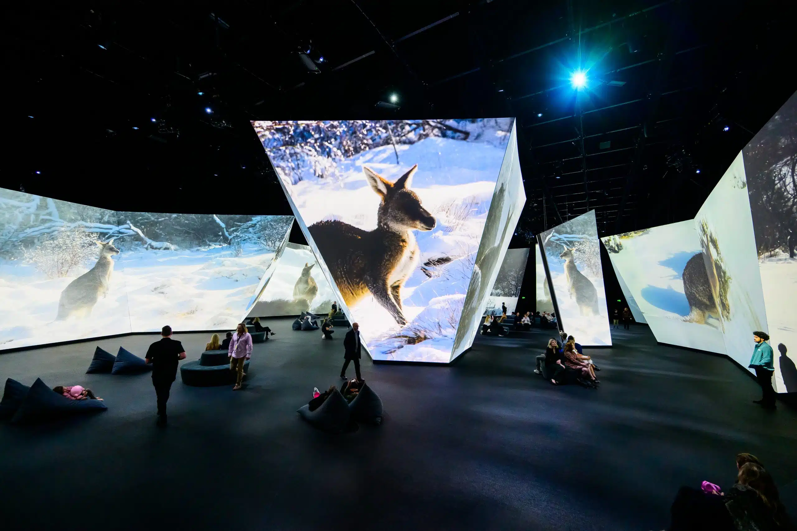 HIVE brings wonders of our planet to life
